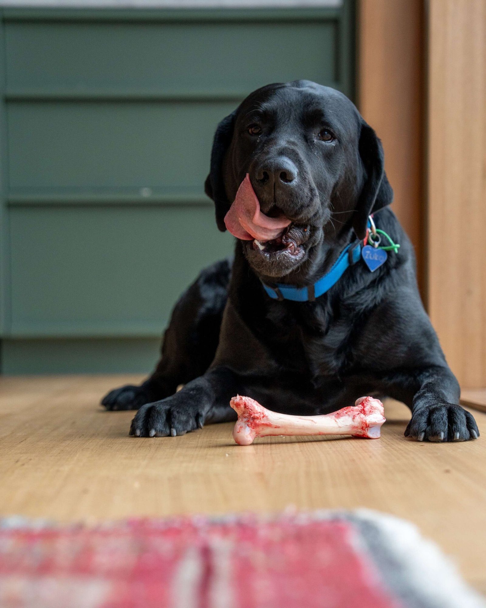Dog treats